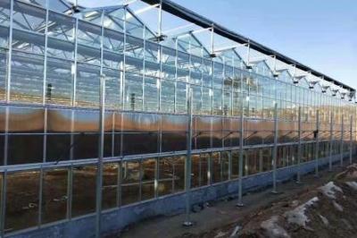 大棚薄膜 現(xiàn)代農(nóng)業(yè)的“隱形守護(hù)者”