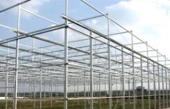 昆明花卉育苗溫室價(jià)位深耕市場(chǎng) 大棚薄膜的成本考量與技術(shù)選型