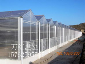 溫室大棚選購(gòu)指南 薄膜、玻璃與生態(tài)玻璃溫室的對(duì)比與推薦