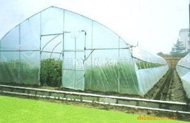 622型單體鋼管溫室大棚薄膜 技術(shù)特點(diǎn)與應(yīng)用優(yōu)勢(shì)