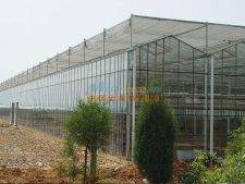 溫室大棚建造指南 濰坊與濟南連棟溫室及專業(yè)建造公司選擇