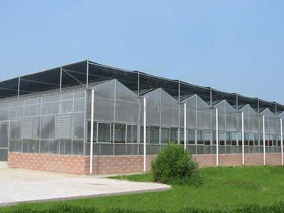 溫室大棚薄膜 價格分級的背后，是用戶需求的精準(zhǔn)匹配