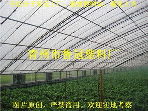 青州市魯冠塑料廠 一站式農膜與水產養殖膜解決方案專家